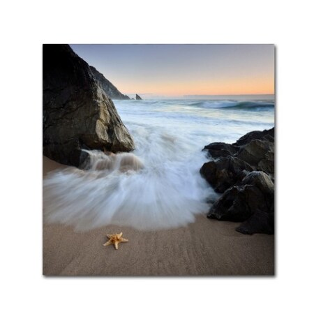 Trademark Fine Art Paulo Dias 'Summer Flux' Canvas Art, 24x24 1X00247-C2424GG